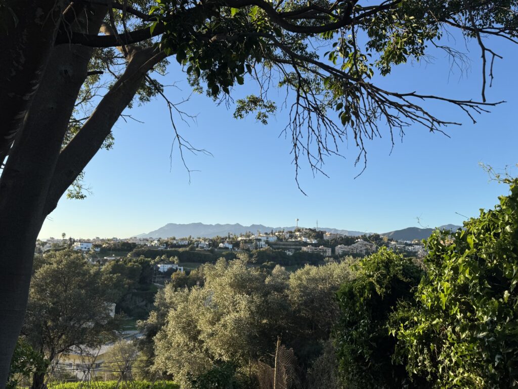 Views_4756-compressed