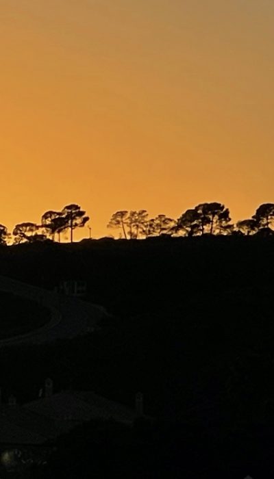 B04E6646-DD30-4BC3-8280-2D23267567CC-1-pyf7ms5ycvvr96h6obl0om7m60y992pha323qgseag