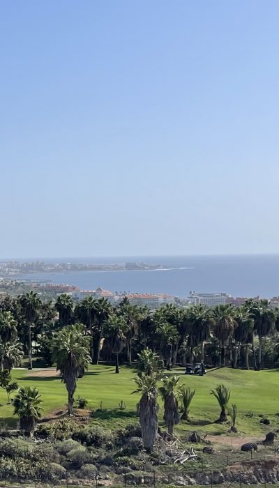 IMG_6137-1-1-pybnuwd394zl6i2brhvy6vqgz36vwghmirxrtz2xy0